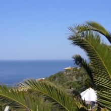 AntoniaPromiDinner_19