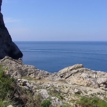 AntoniaPromiDinner_27