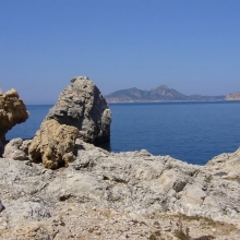 AntoniaPromiDinner_30