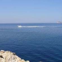 AntoniaPromiDinner_32